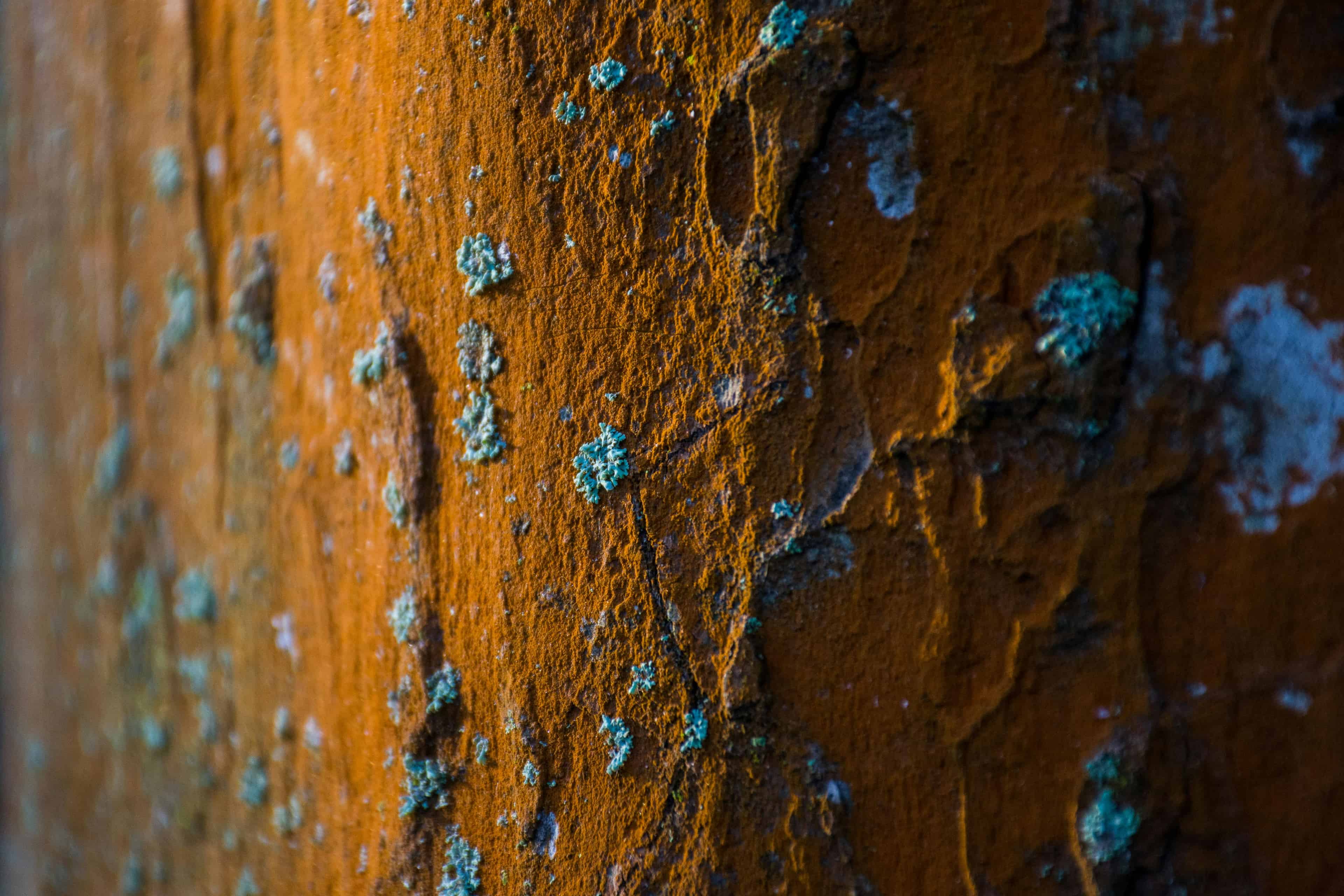 Rust Treatment image