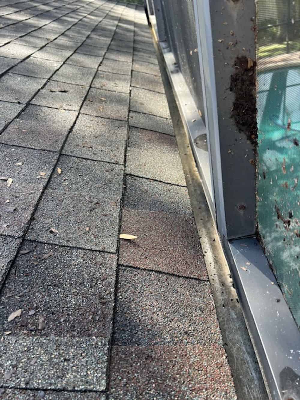 Roof Soft Washing image