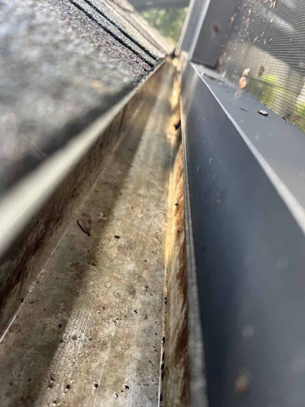 Gutter Soft Washing image